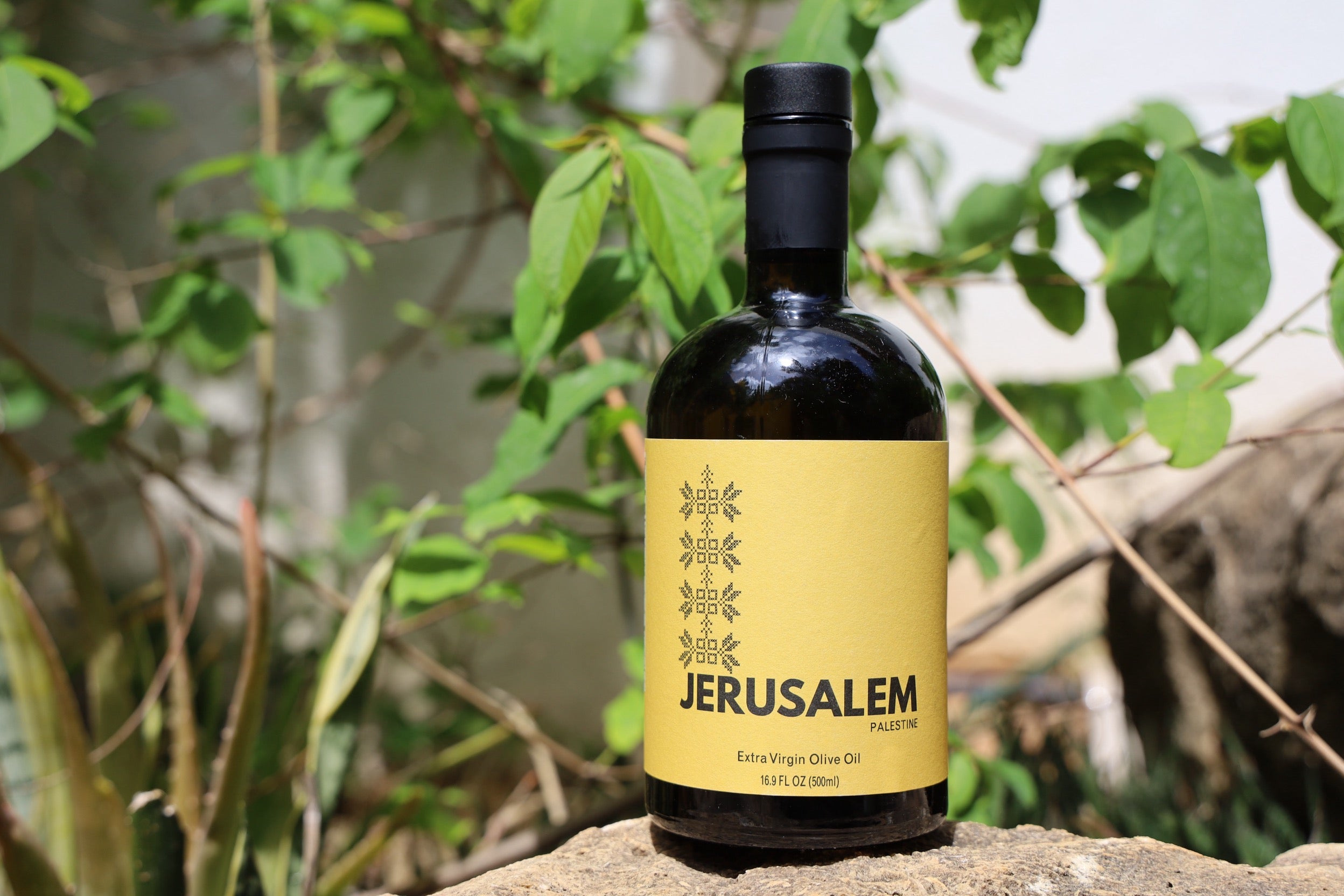 Jerusalem's Cold Pressed Extracted Olive Oil - Full Bodied and Aromatic [2024 Harvest]
