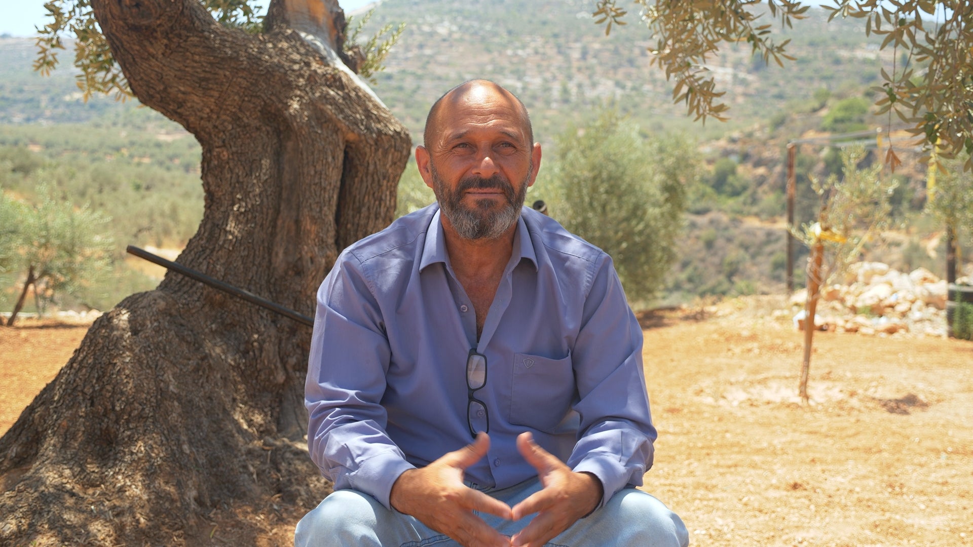 Dier Abu Mash'al Rumi Cold Pressed: Smooth [Harvest 2025]